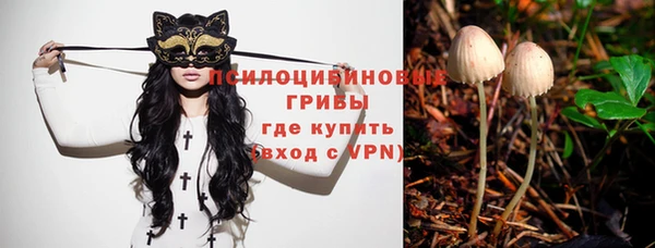 ALPHA PVP Коряжма