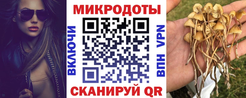 Галлюциногенные грибы GOLDEN TEACHER  hydra сайт  Нытва 